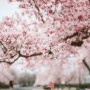 와이즈영어학원 이미지