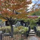 발리동천 이미지