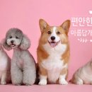 이쁘개 아름답개 이미지