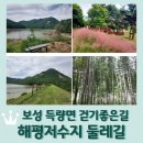 주월산 등산로 화장실 | 전남 보성 득량면 &lt;해평저수지 둘레길&gt; 3.9km 1시간 코스 / 핑크뮬리 / 대나무숲길