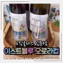 블루이스트 | 연말모임 집들이선물 고민 끝! 영롱함에 반한 이스트블루 오로라컵 노징글라스 후기