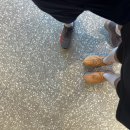 배키네