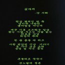 꽃다지-강지혜 이미지