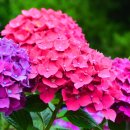 동평초등학교 이미지