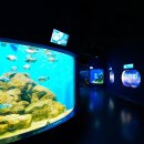 싱글벙글사 이미지