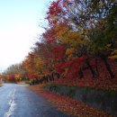 순흥농원 이미지