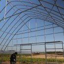 그린건설주식회사 | 폭11m 동고5.5m 대형 광폭 비닐하우스 시공 현장