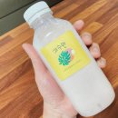 요거트아이스크림의정석진주