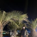 드르쿰다 이미지