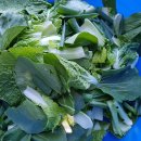 모모농장 이미지