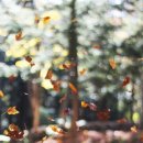 주원장한의원 이미지