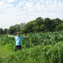 둥이네농장2 이미지