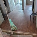 어양동-14 이미지