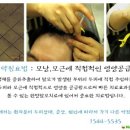 배성식품 이미지