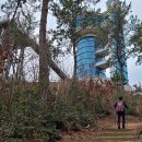 도화전통시장 이미지