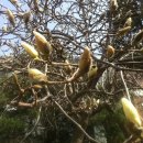 이리여자고등학교 이미지