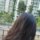 풍림미용실 - 성북구 | 탄현미용실 헤어살롱쀼 ㅣ반년 만에 변신 성공한 염색과 커트 후기