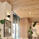 화이트 스프링(WHITE SPRING) 이미지