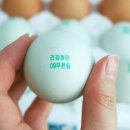 푸른들농장 이미지