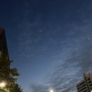 통보장어마을 - 화성시 | 통보장어마을