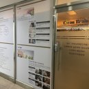 크린브레인 이미지