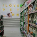 아이 러브 펫 이미지