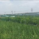 제명이 농장 이미지