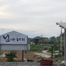님 바래기 이미지
