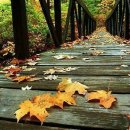 아름다운기억 이미지