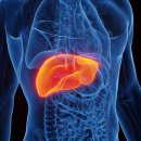 해머하우스 이미지