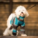 24시센트럴동물메디컬센터 이미지