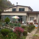 나루터 펜션 이미지