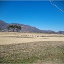 스프링베일리조트 이미지