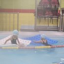 아쿠아 차일드 서신 이미지