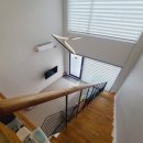 플레이독애견카페 | 가평 플레이독애견풀빌라 후기 │ 가평애견수영장펜션 &amp; 아침고요수목원애견펜션