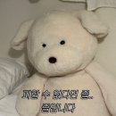 김상규 | /1월 결산