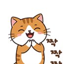 콩냥콩냥 - 계룡시 번영9길 26 | 콩냥콩냥