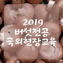 (주)지앤비여행사 네이버블로그