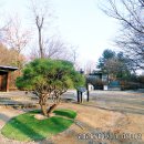 영축산순환산책로(유아숲) Daum카페