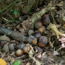 서리풀길 20 이미지