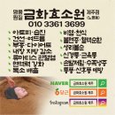 달구씨 | 제주도 시내 노형동 금화효소원 효소찜질 이색 여행 데이트 힐링 추천 후기
