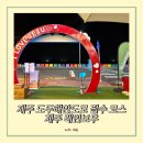 제주도 레인보우 | 무지개 해안 도로 핫플 야장 술집 야시장 맛집 제주 레인보우 후기