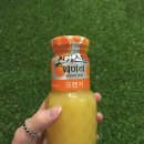 씨에스텔 네이버블로그
