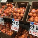 푸드진 이미지