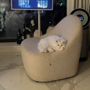 나 이제 어른인가