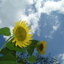 대전동구중독관리통합지원센터 이미지