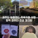 제주쉬멍스파 | 일출랜드 성산일출봉 제주 족욕체험 족욕카페쉬멍 힐링 후기 파우더 소금 젤크림 가격 주차