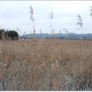 환경생태관 이미지