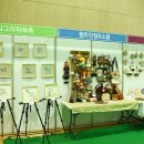 캘리그라피초급야간반 이미지