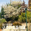 구조라로 2길 이미지